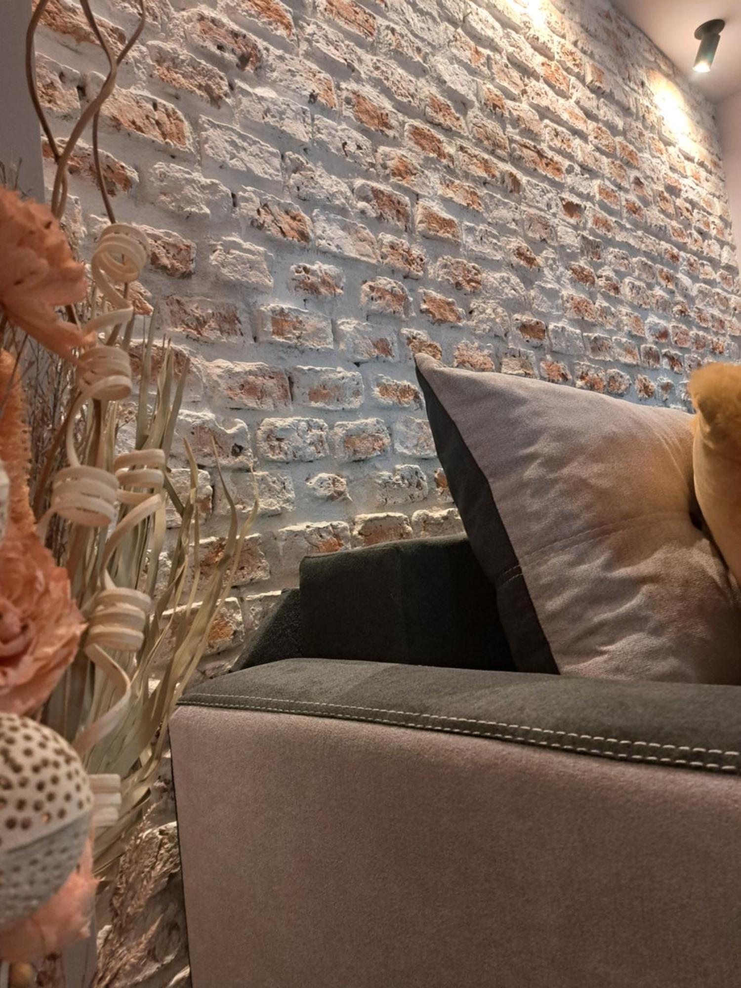Casa Ileana Centrul Vechi Brasov Daire Dış mekan fotoğraf