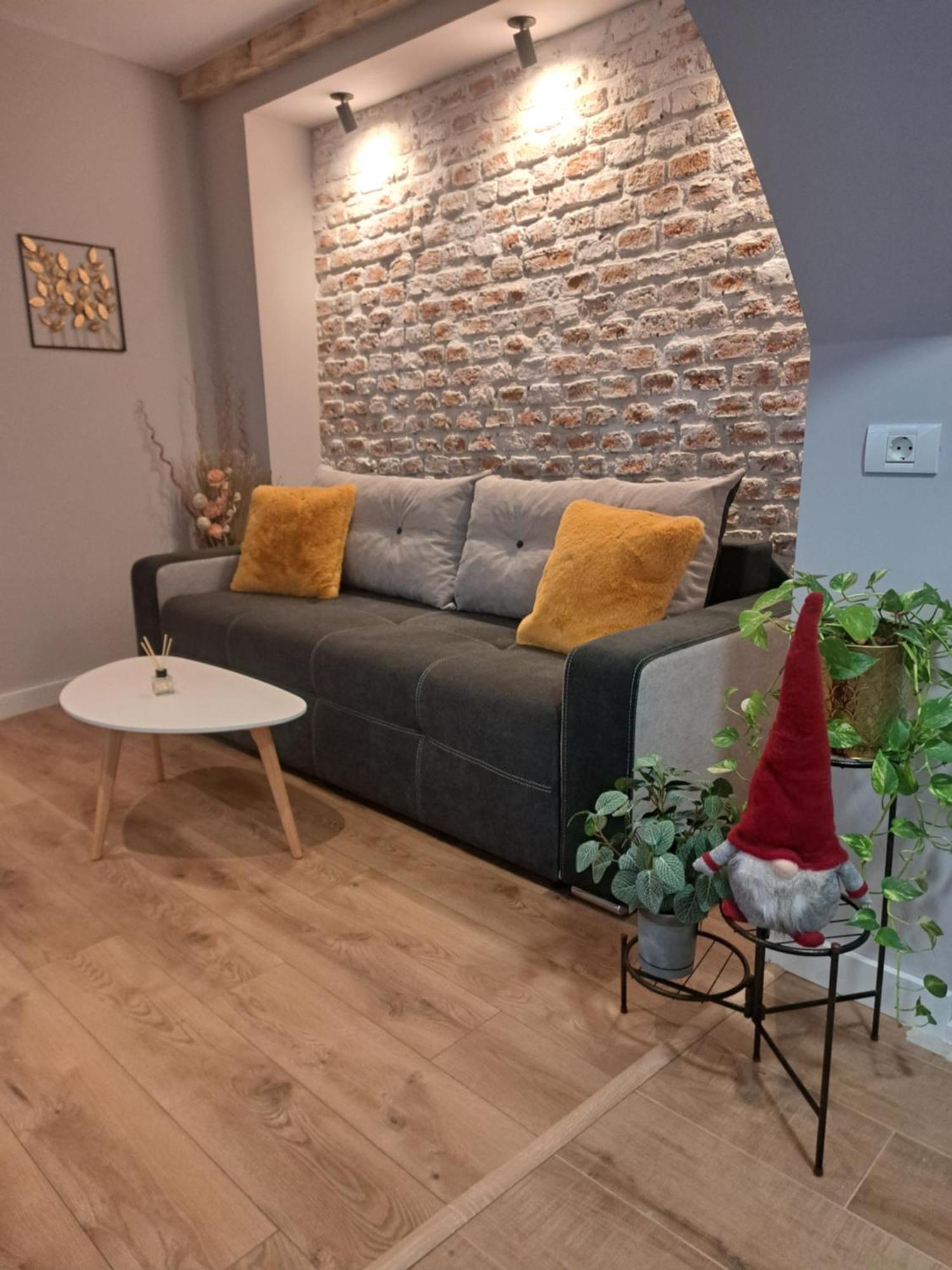 Casa Ileana Centrul Vechi Brasov Daire Dış mekan fotoğraf