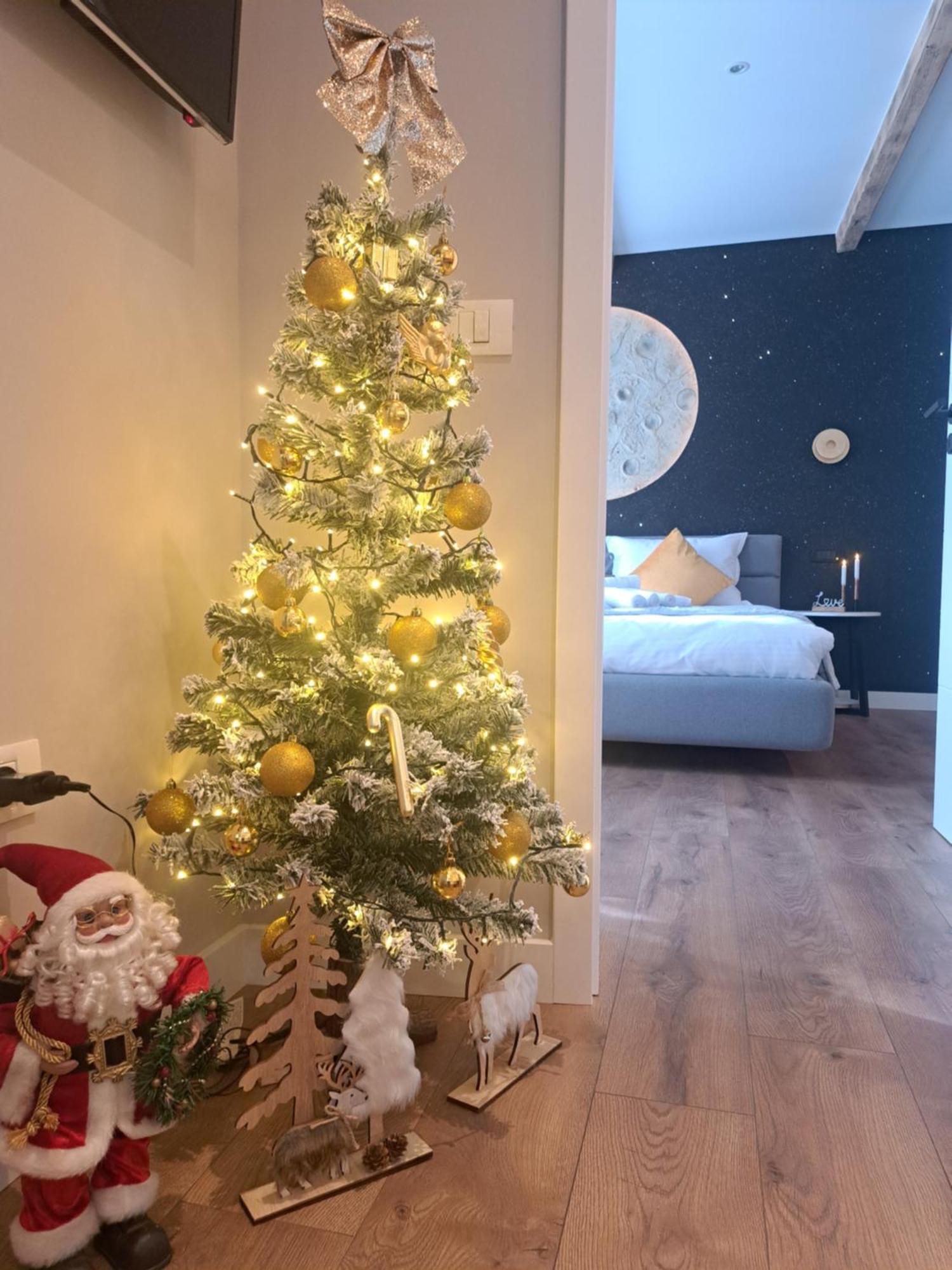 Casa Ileana Centrul Vechi Brasov Daire Dış mekan fotoğraf