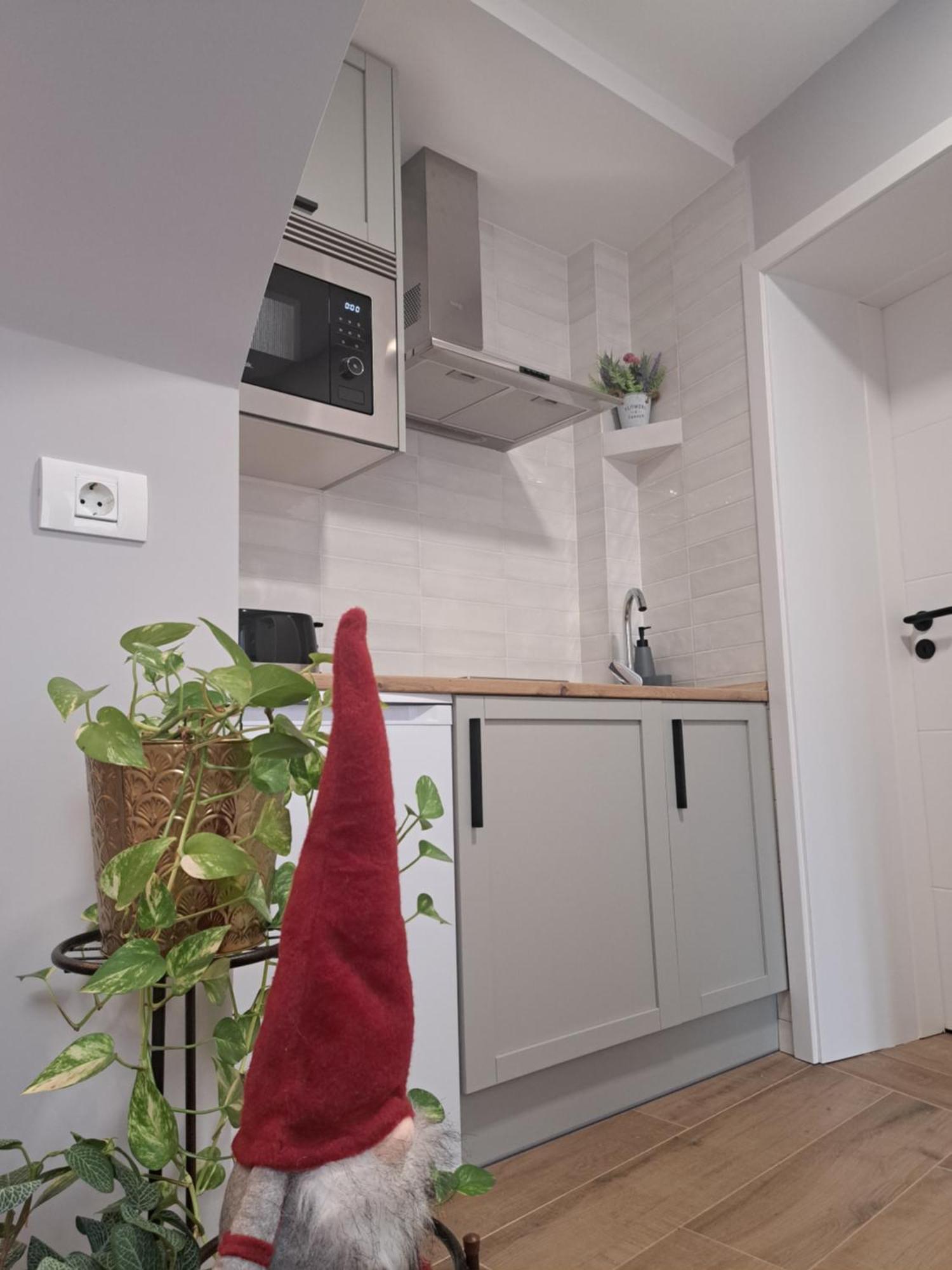 Casa Ileana Centrul Vechi Brasov Daire Dış mekan fotoğraf